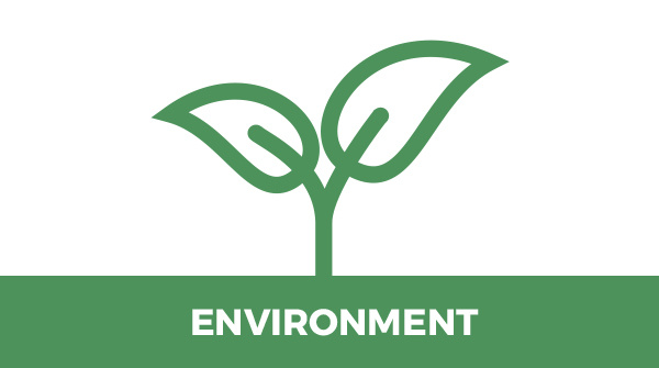 environment icon