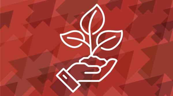 red growth icon with arrows